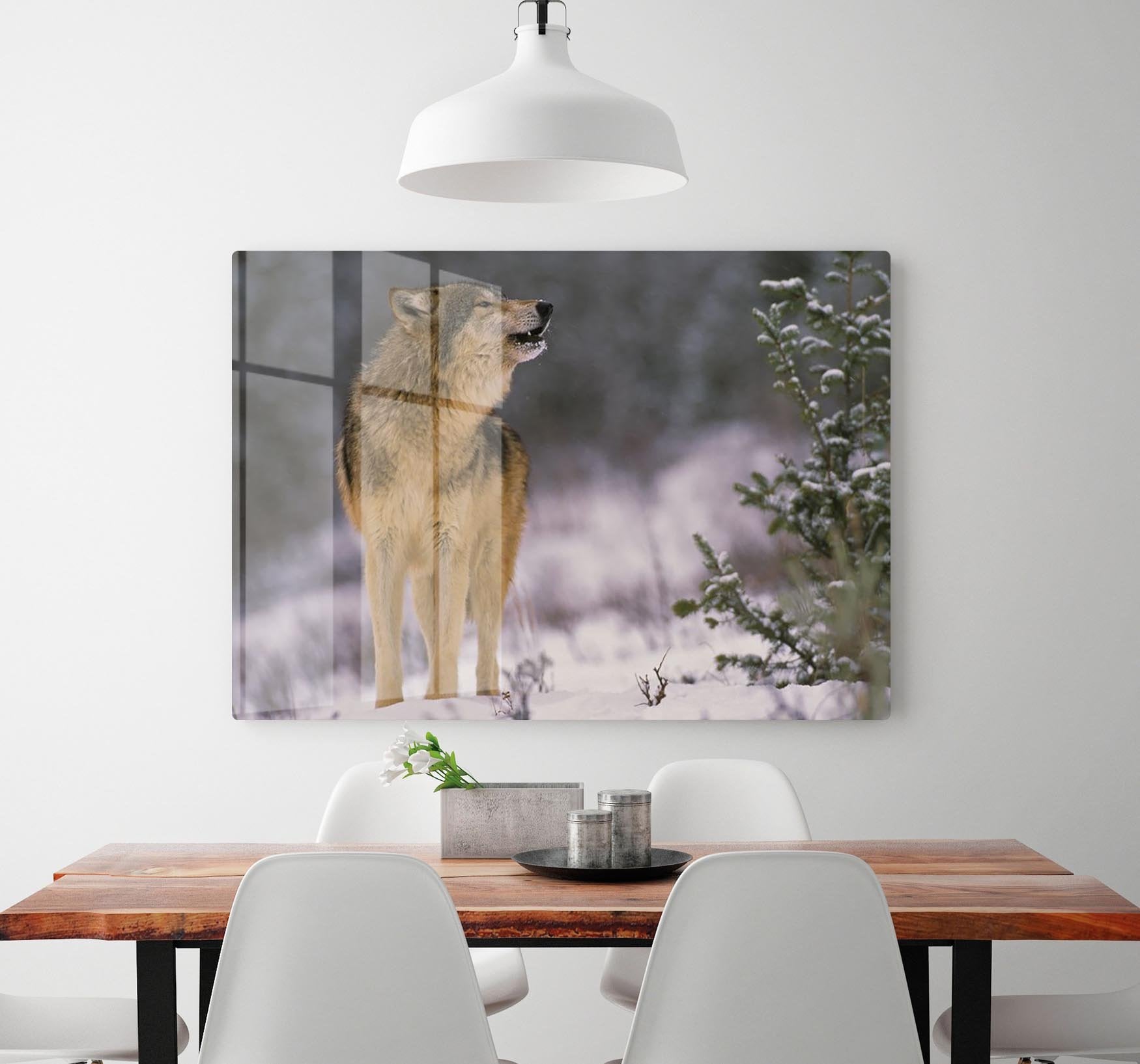 Wolf Howling in Snow HD Metal Print - Canvas Art Rocks - 2