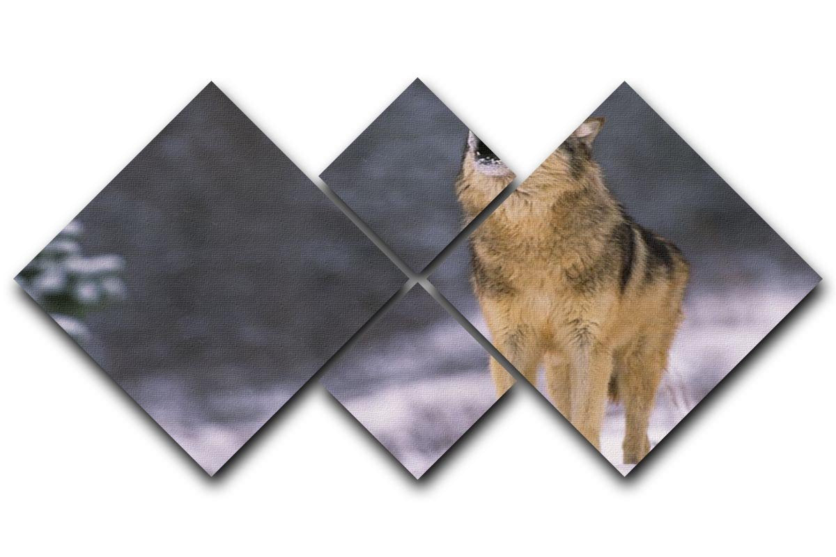 Wolf Howling in White Snow 4 Square Multi Panel Canvas - Canvas Art Rocks - 1