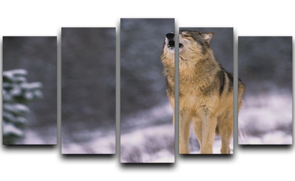 Wolf Howling in White Snow 5 Split Panel Canvas - Canvas Art Rocks - 1