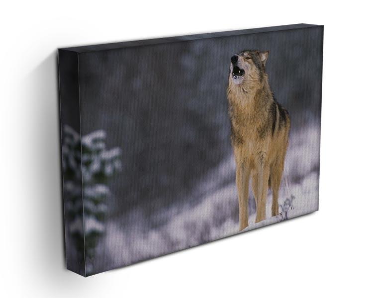 Wolf Howling in White Snow Canvas Print or Poster - Canvas Art Rocks - 3