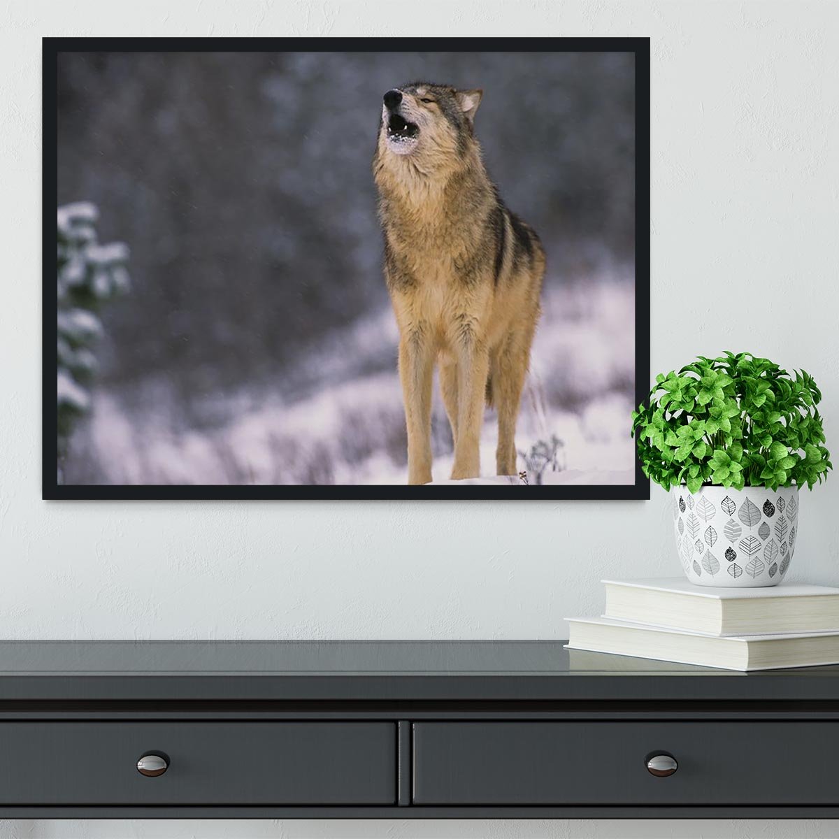 Wolf Howling in White Snow Framed Print - Canvas Art Rocks - 2