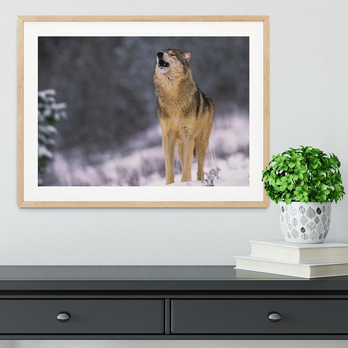 Wolf Howling in White Snow Framed Print - Canvas Art Rocks - 3