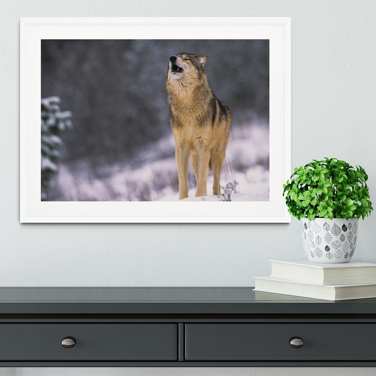 Wolf Howling in White Snow Framed Print - Canvas Art Rocks - 5