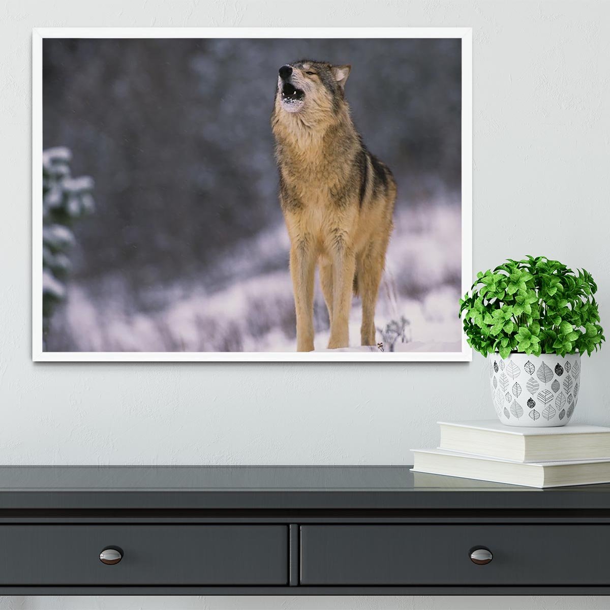 Wolf Howling in White Snow Framed Print - Canvas Art Rocks -6