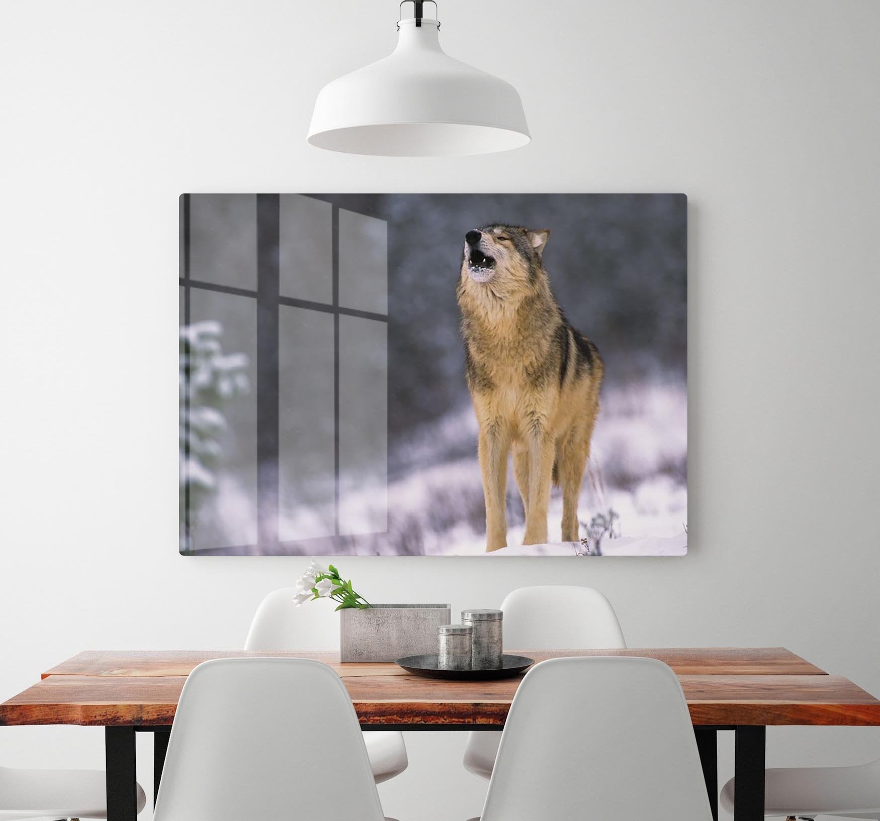 Wolf Howling in White Snow HD Metal Print - Canvas Art Rocks - 2