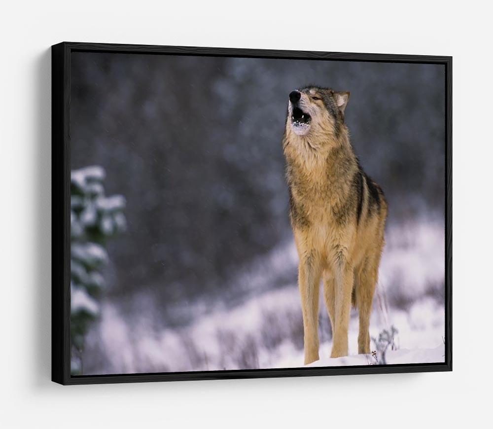 Wolf Howling in White Snow HD Metal Print - Canvas Art Rocks - 6