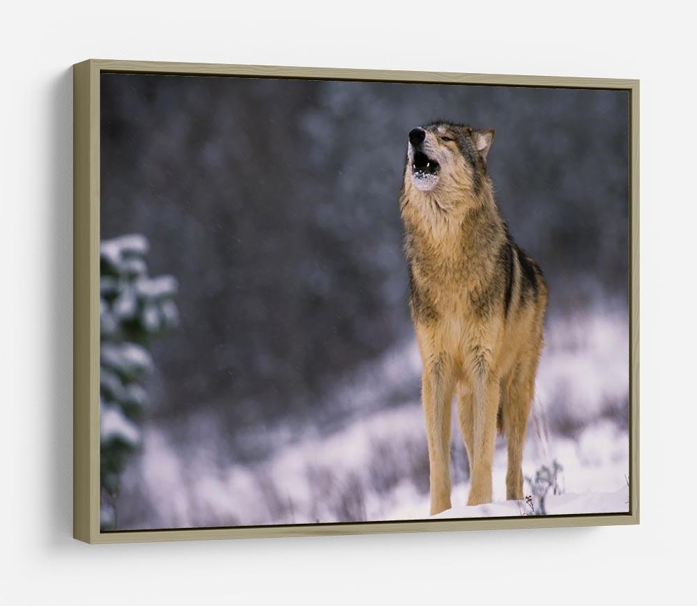 Wolf Howling in White Snow HD Metal Print - Canvas Art Rocks - 8