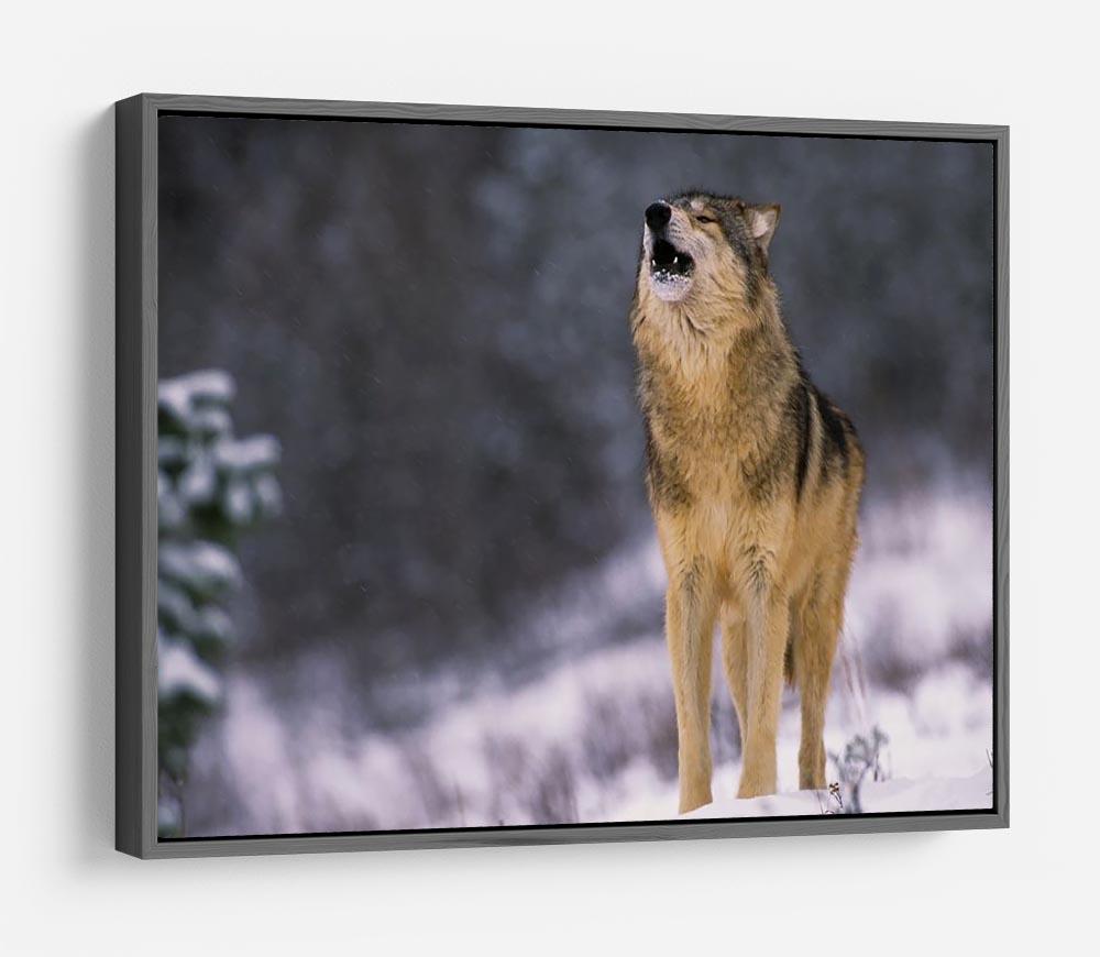 Wolf Howling in White Snow HD Metal Print - Canvas Art Rocks - 9