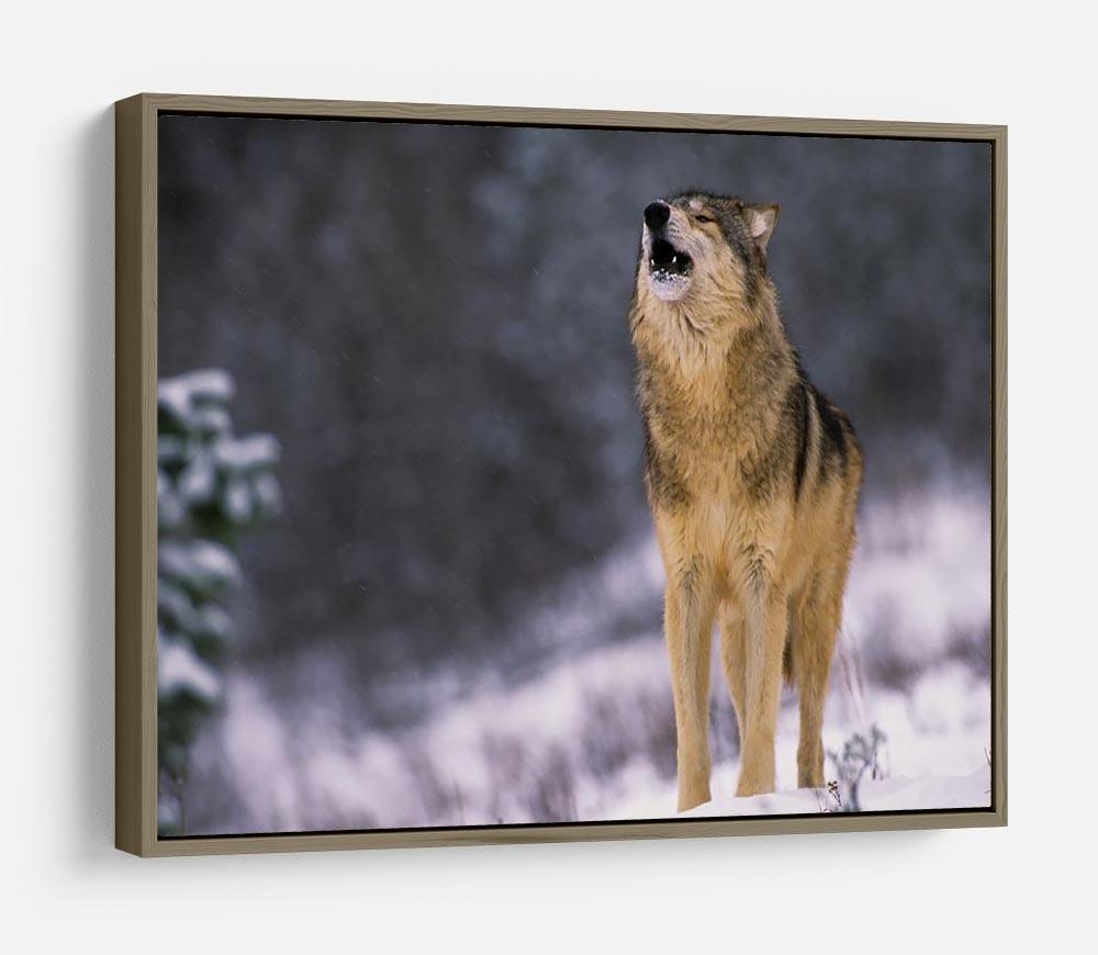 Wolf Howling in White Snow HD Metal Print - Canvas Art Rocks - 10