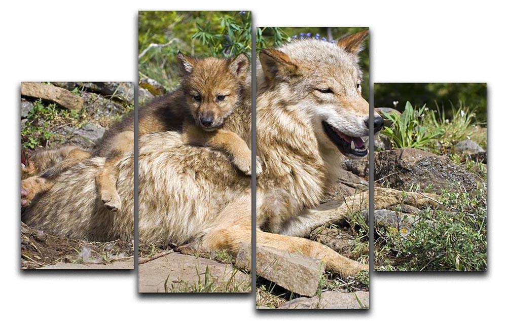 Wolf cubs and mother at den site 4 Split Panel Canvas - Canvas Art Rocks - 1