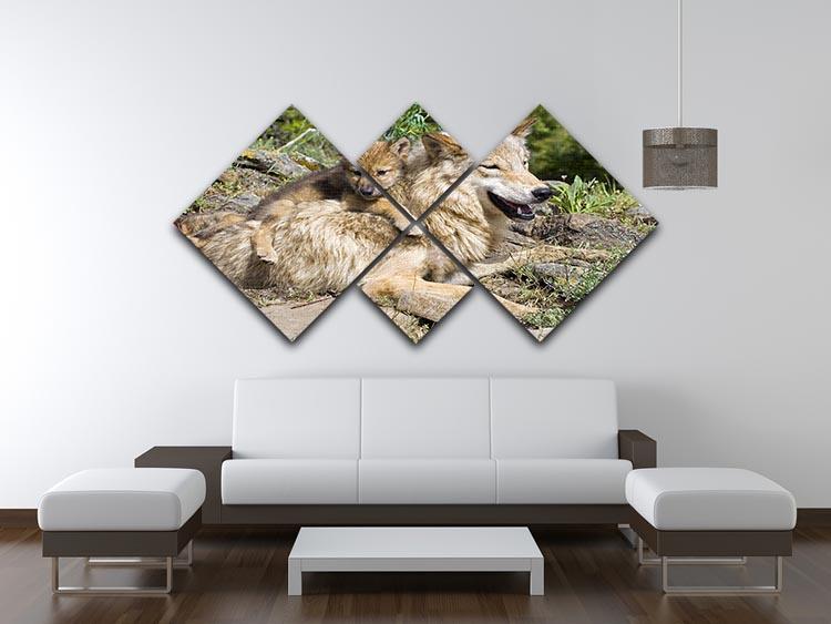 Wolf cubs and mother at den site 4 Square Multi Panel Canvas - Canvas Art Rocks - 3