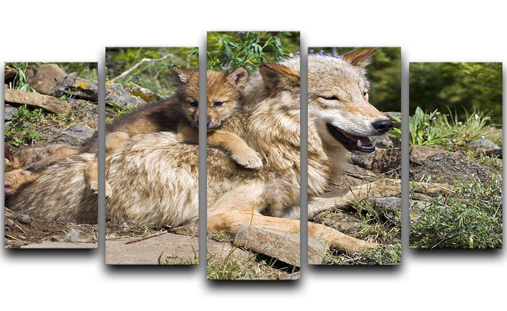 Wolf cubs and mother at den site 5 Split Panel Canvas - Canvas Art Rocks - 1