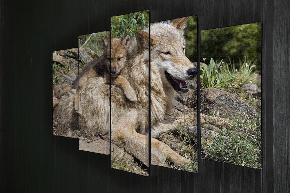 Wolf cubs and mother at den site 5 Split Panel Canvas - Canvas Art Rocks - 2