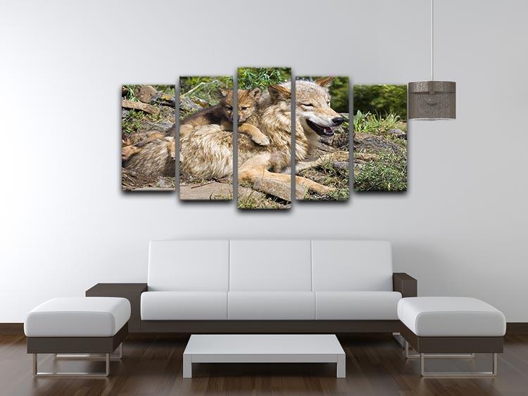 Wolf cubs and mother at den site 5 Split Panel Canvas - Canvas Art Rocks - 3
