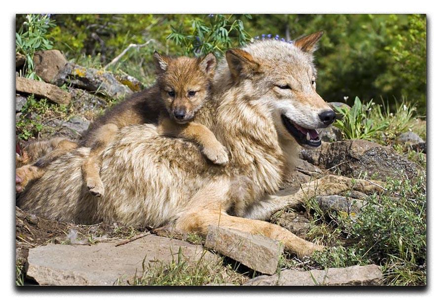 Wolf cubs and mother at den site Canvas Print or Poster - Canvas Art Rocks - 1