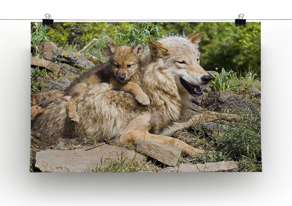 Wolf cubs and mother at den site Canvas Print or Poster - Canvas Art Rocks - 2
