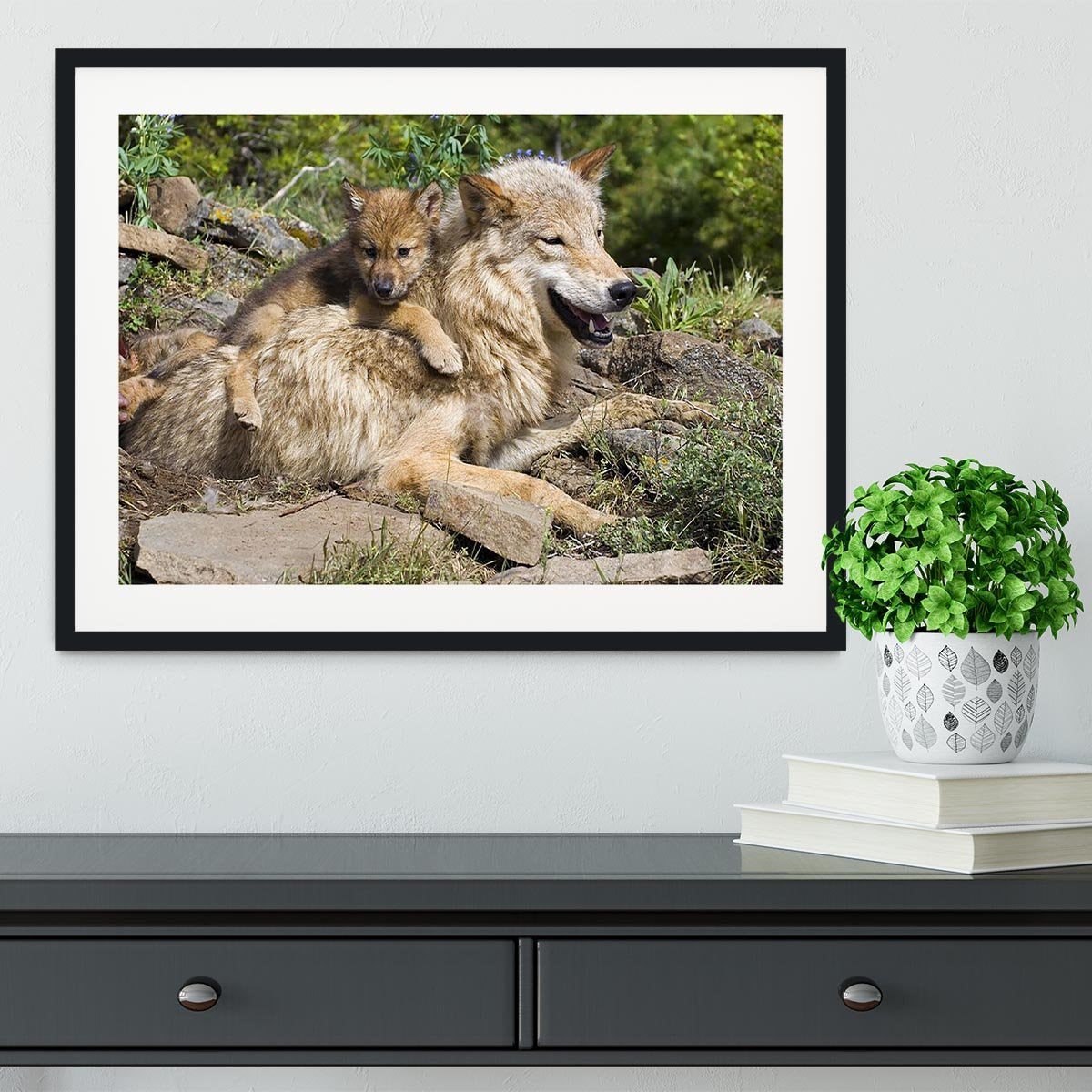 Wolf cubs and mother at den site Framed Print - Canvas Art Rocks - 1