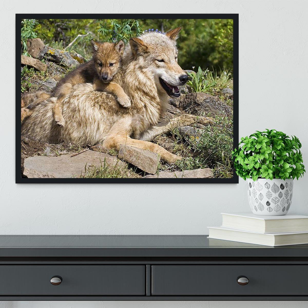 Wolf cubs and mother at den site Framed Print - Canvas Art Rocks - 2