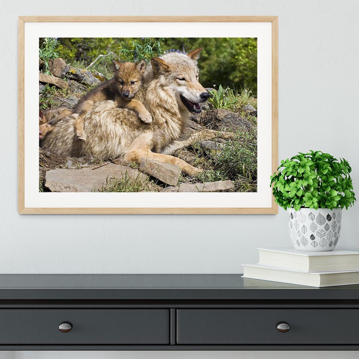 Wolf cubs and mother at den site Framed Print - Canvas Art Rocks - 3