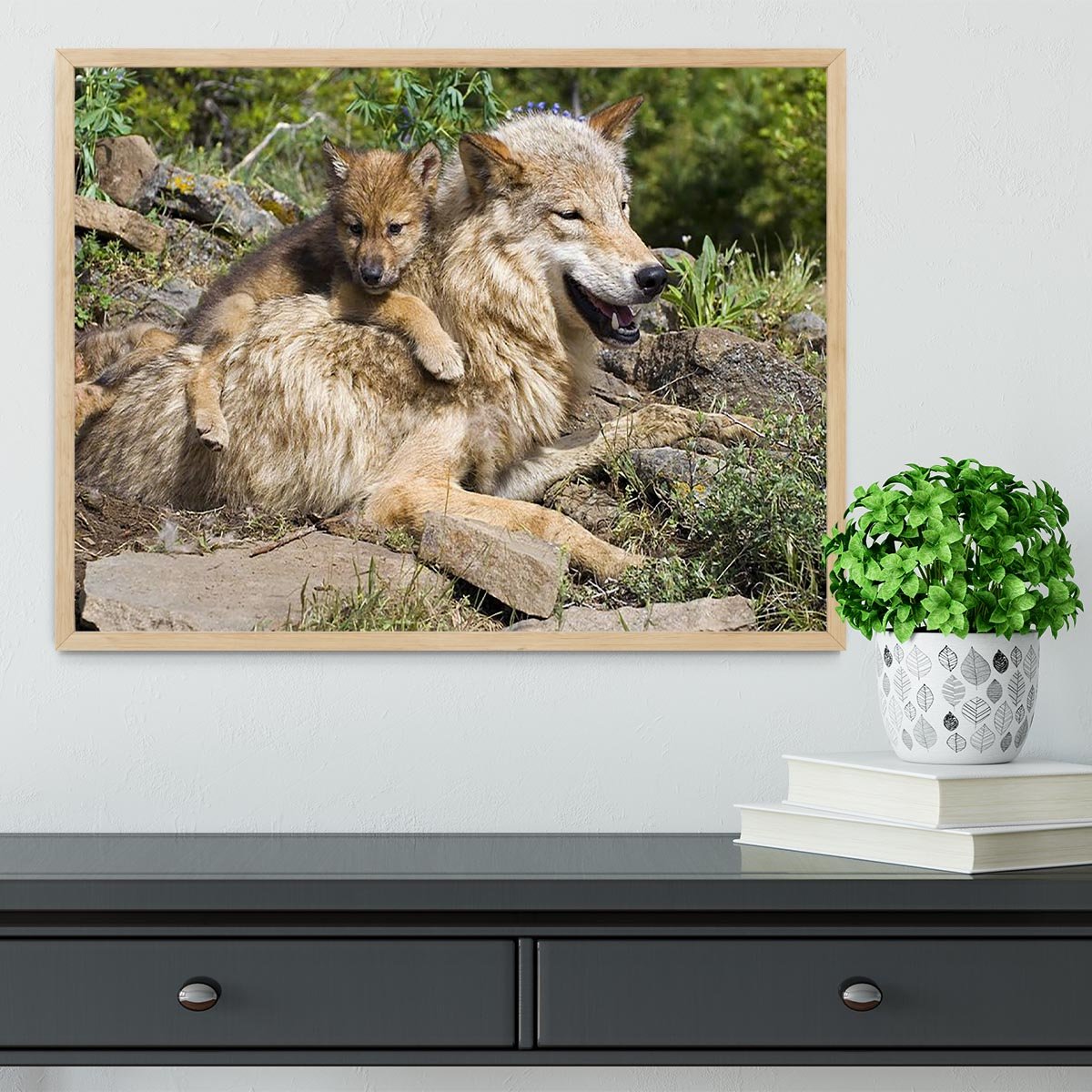 Wolf cubs and mother at den site Framed Print - Canvas Art Rocks - 4