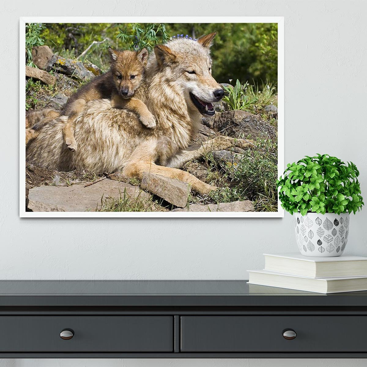 Wolf cubs and mother at den site Framed Print - Canvas Art Rocks -6