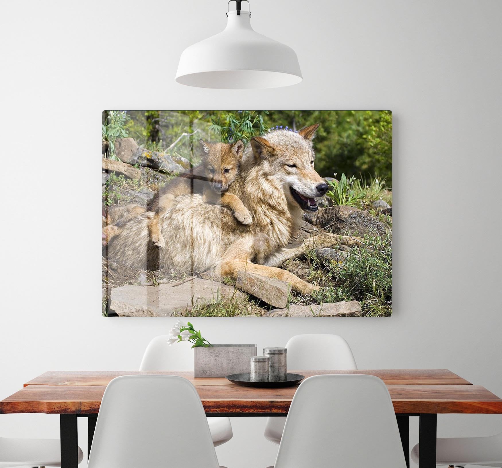 Wolf cubs and mother at den site HD Metal Print - Canvas Art Rocks - 2