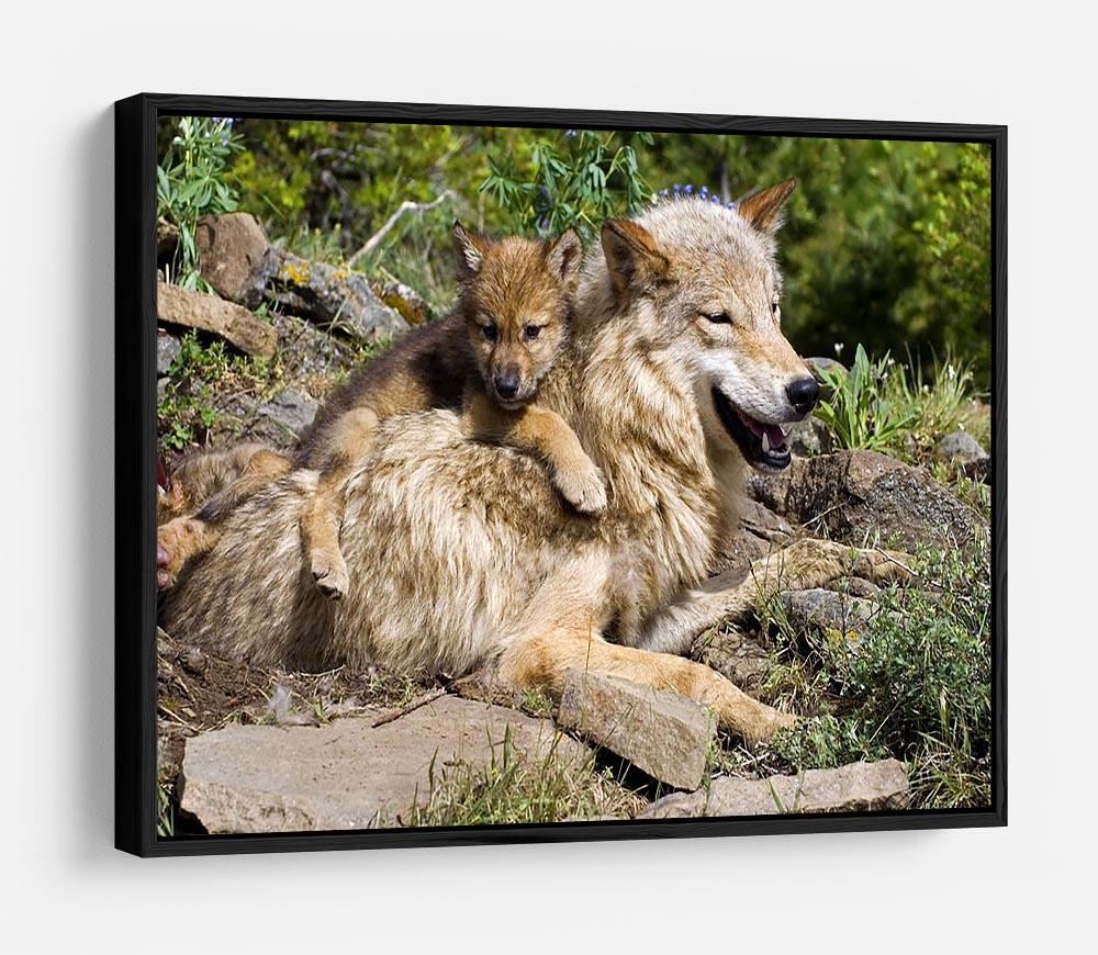 Wolf cubs and mother at den site HD Metal Print - Canvas Art Rocks - 6