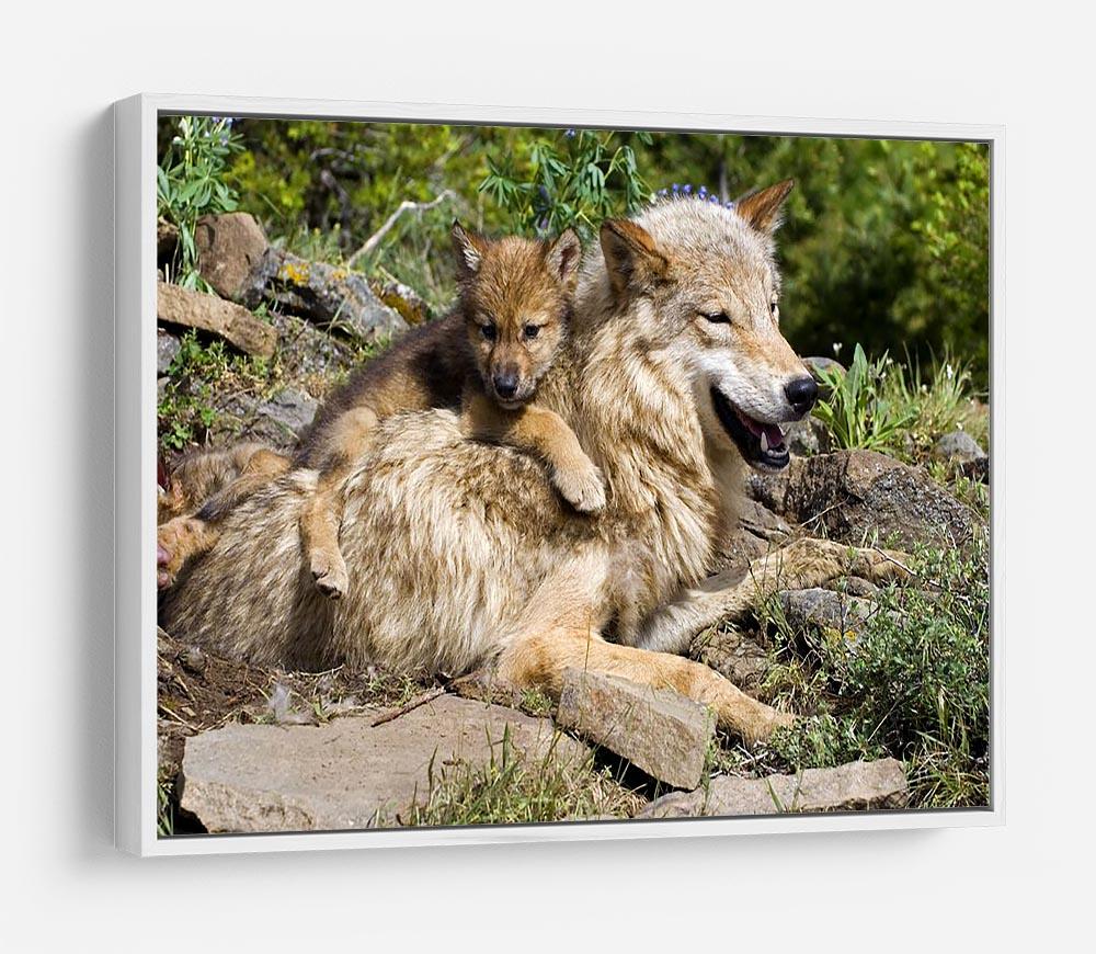 Wolf cubs and mother at den site HD Metal Print - Canvas Art Rocks - 7