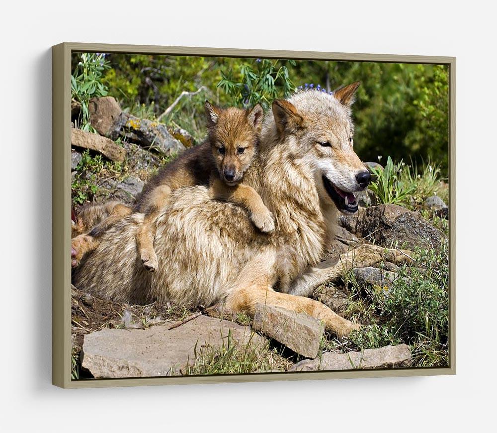 Wolf cubs and mother at den site HD Metal Print - Canvas Art Rocks - 8