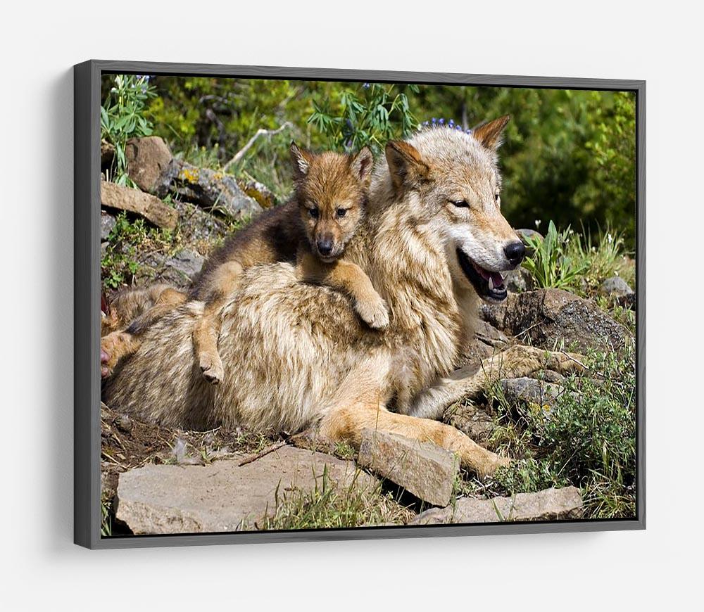 Wolf cubs and mother at den site HD Metal Print - Canvas Art Rocks - 9