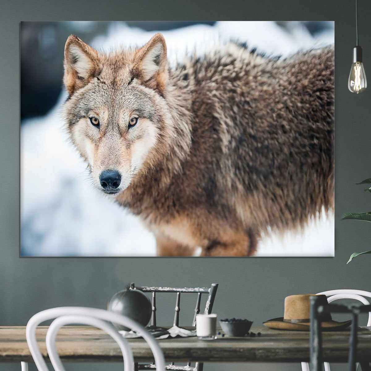 Wolf standing in the snow Canvas Print or Poster