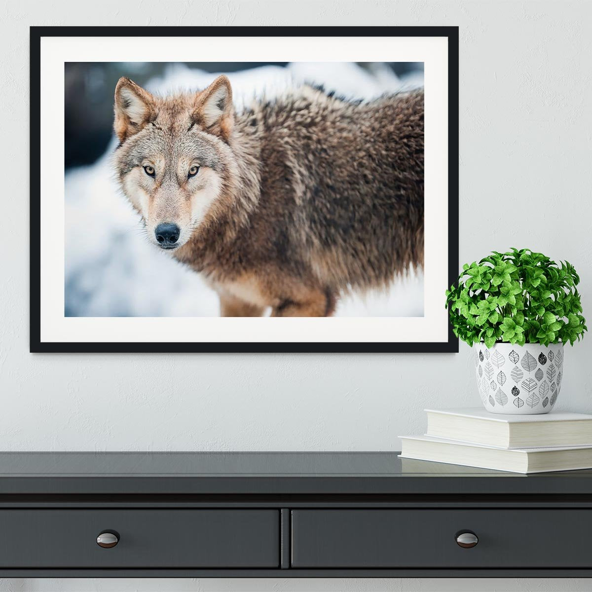 Wolf standing in the snow Framed Print - Canvas Art Rocks - 1