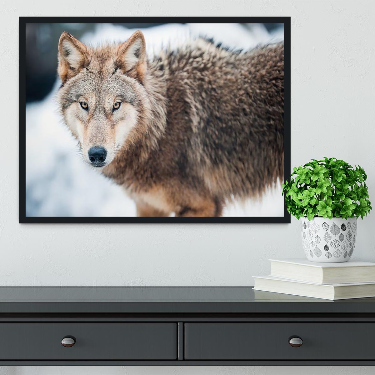 Wolf standing in the snow Framed Print - Canvas Art Rocks - 2