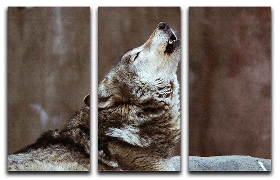 Wolves howl in Moscow Zoo 3 Split Panel Canvas Print - Canvas Art Rocks - 1