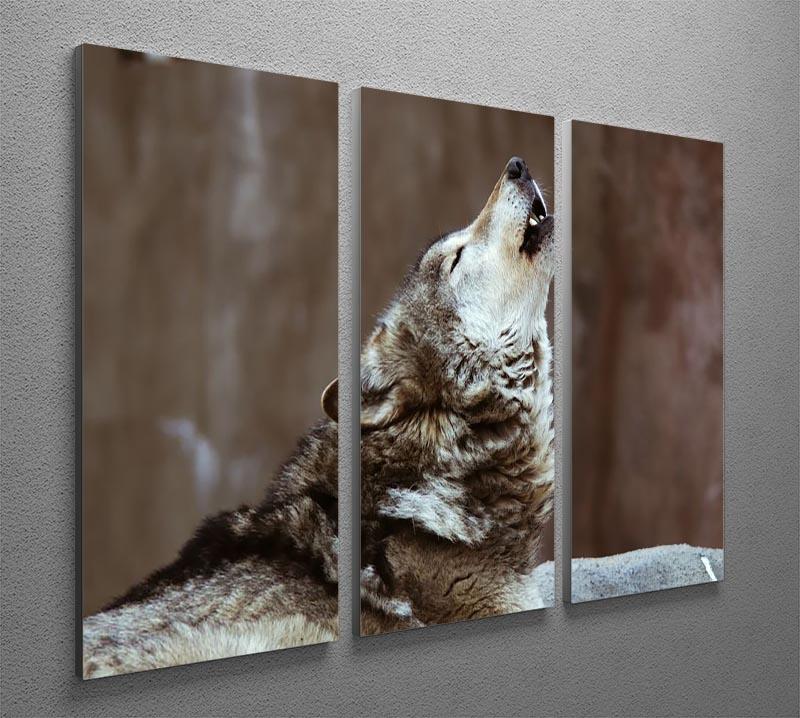 Wolves howl in Moscow Zoo 3 Split Panel Canvas Print - Canvas Art Rocks - 2