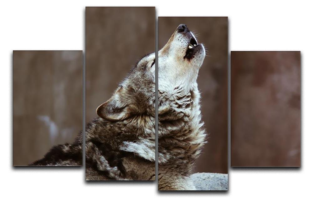 Wolves howl in Moscow Zoo 4 Split Panel Canvas - Canvas Art Rocks - 1
