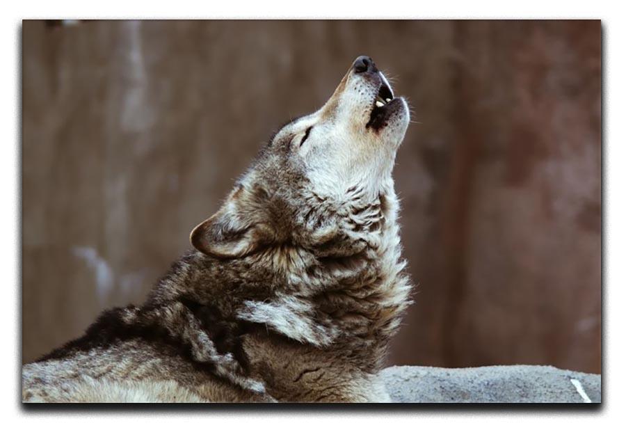 Wolves howl in Moscow Zoo Canvas Print or Poster - Canvas Art Rocks - 1