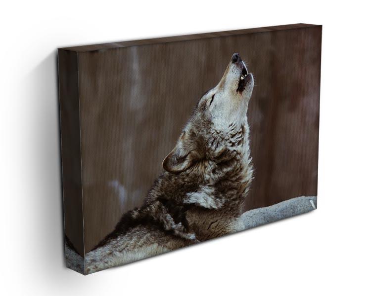 Wolves howl in Moscow Zoo Canvas Print or Poster - Canvas Art Rocks - 3