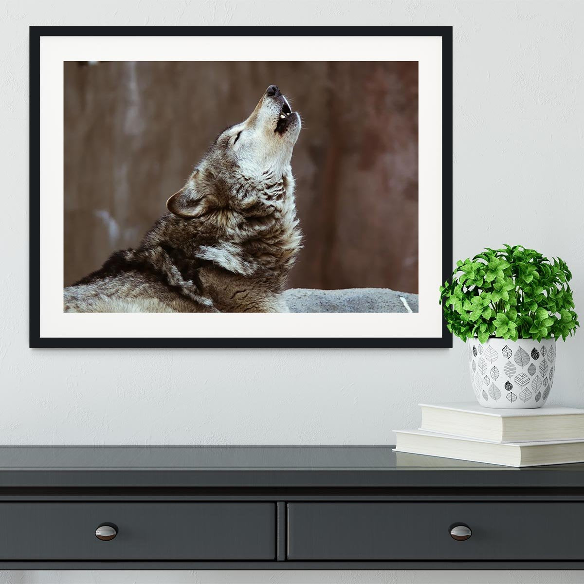 Wolves howl in Moscow Zoo Framed Print - Canvas Art Rocks - 1