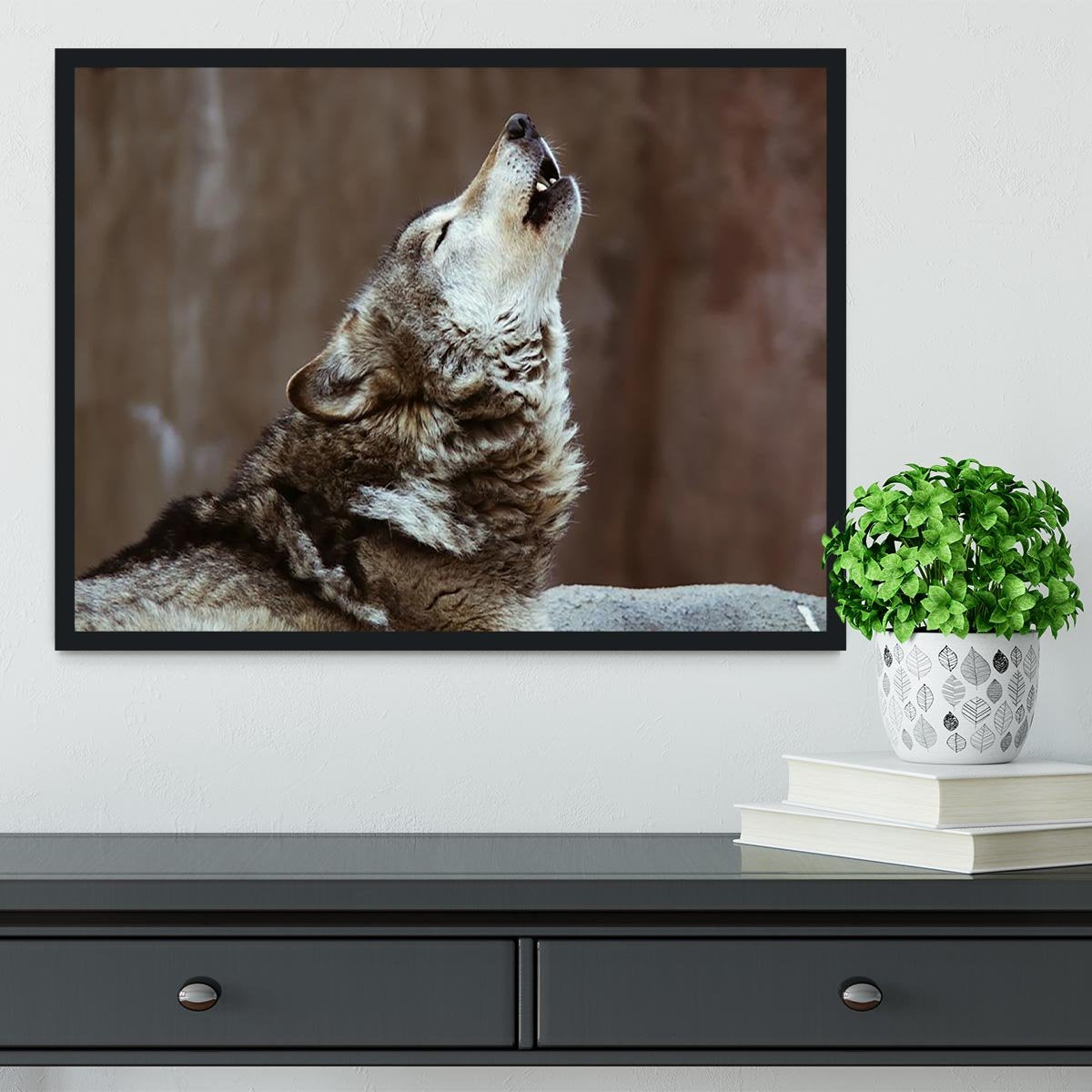 Wolves howl in Moscow Zoo Framed Print - Canvas Art Rocks - 2