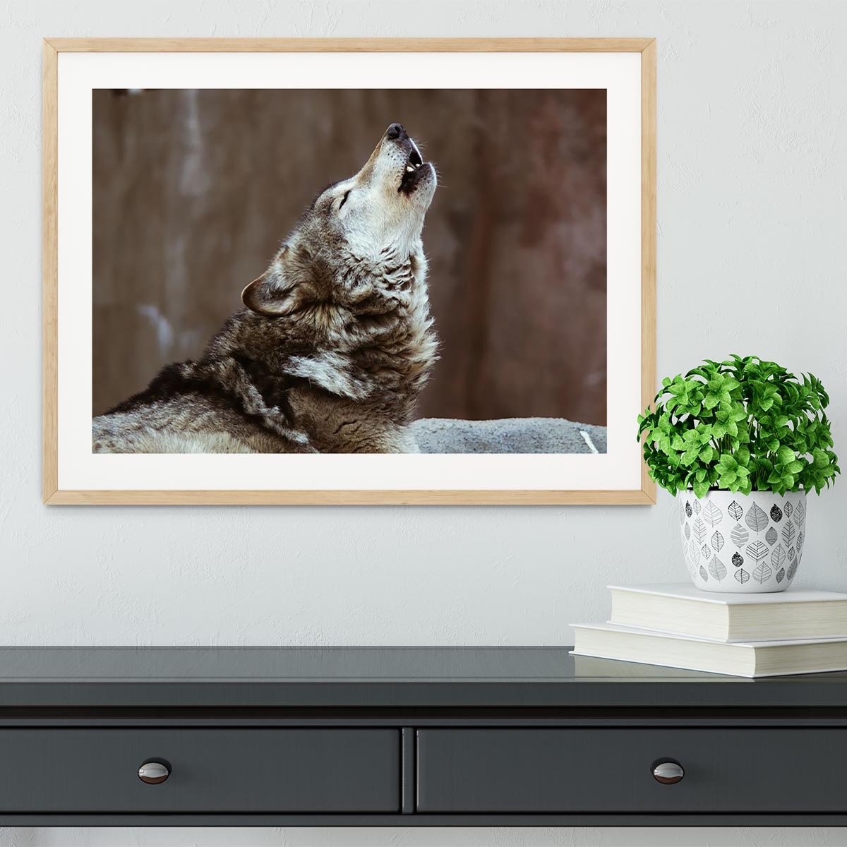 Wolves howl in Moscow Zoo Framed Print - Canvas Art Rocks - 3
