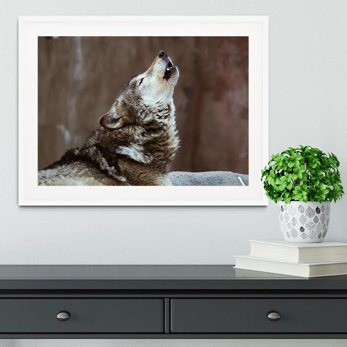 Wolves howl in Moscow Zoo Framed Print - Canvas Art Rocks - 5
