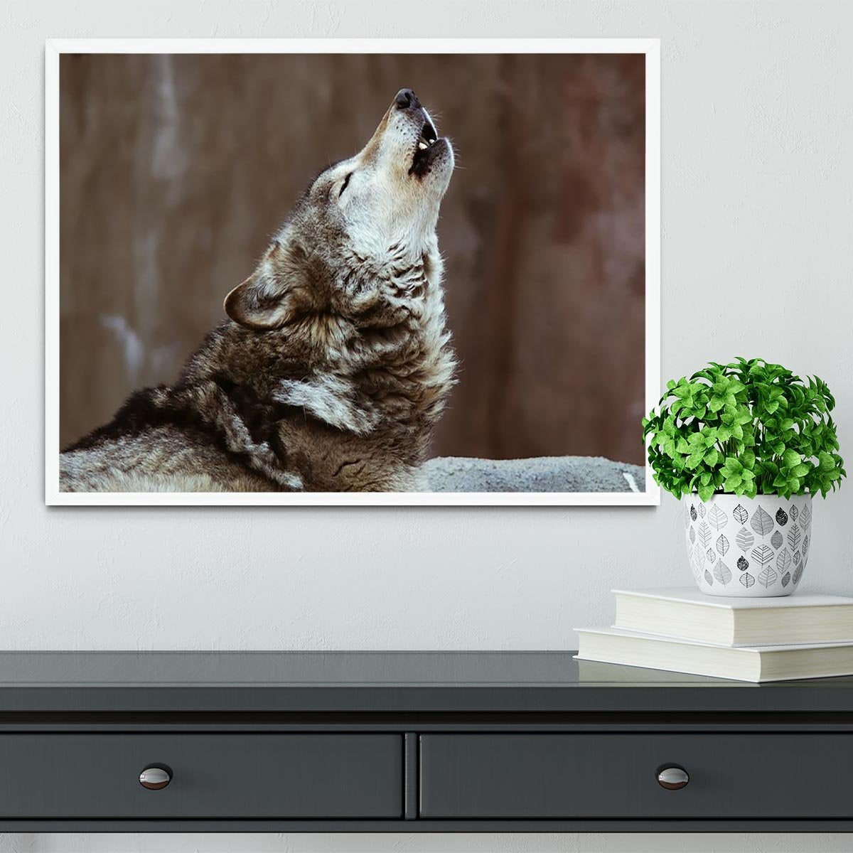 Wolves howl in Moscow Zoo Framed Print - Canvas Art Rocks -6