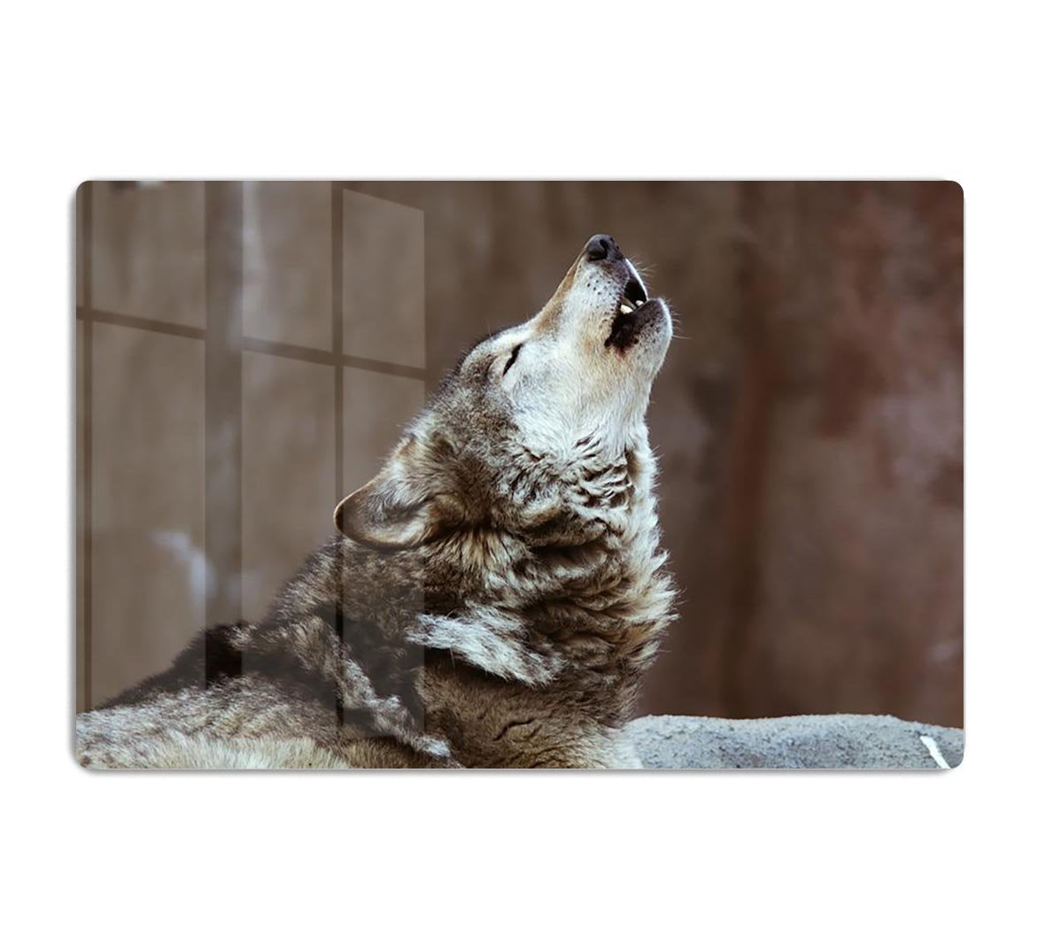 Wolves howl in Moscow Zoo HD Metal Print - Canvas Art Rocks - 1