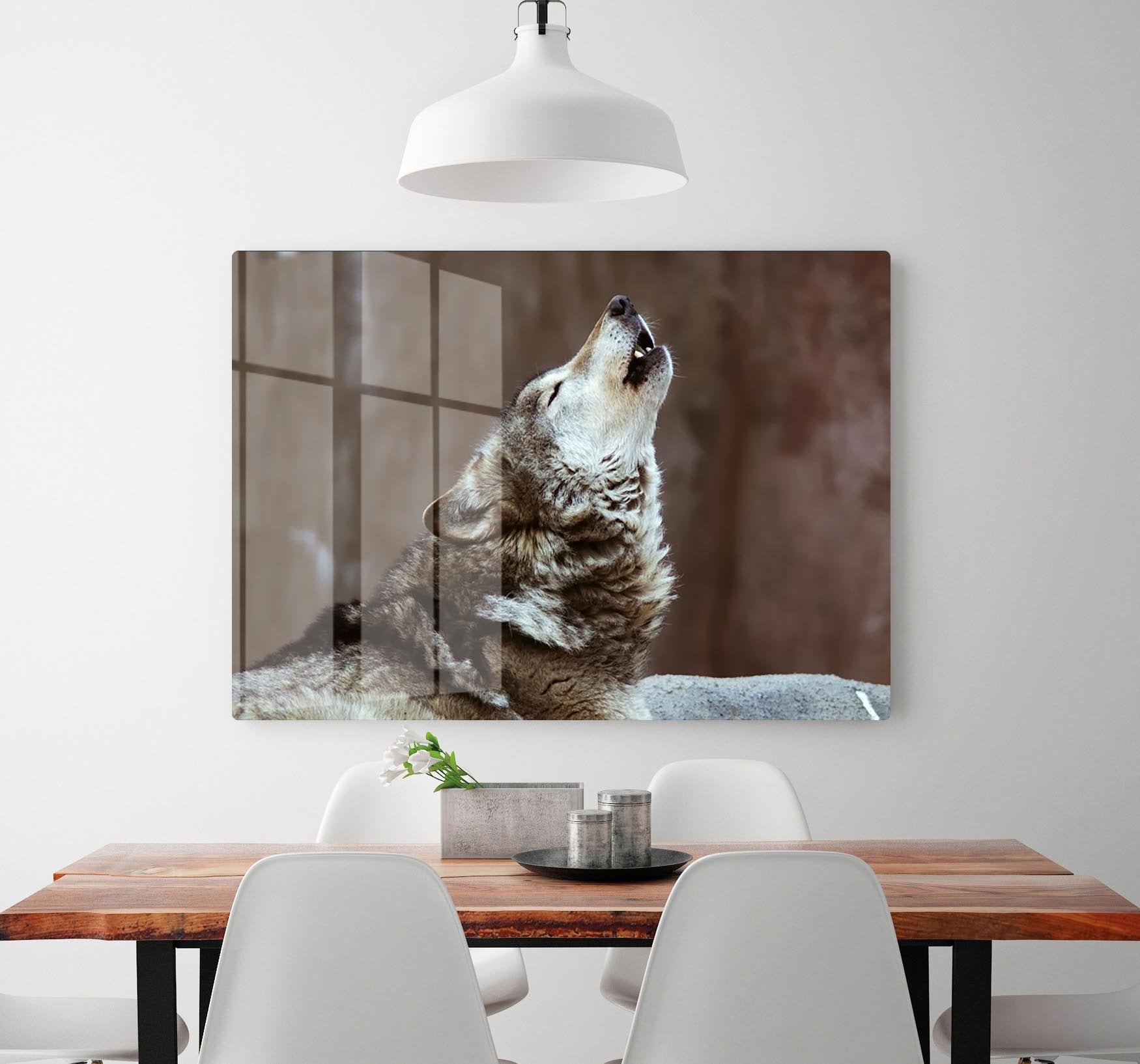 Wolves howl in Moscow Zoo HD Metal Print - Canvas Art Rocks - 2
