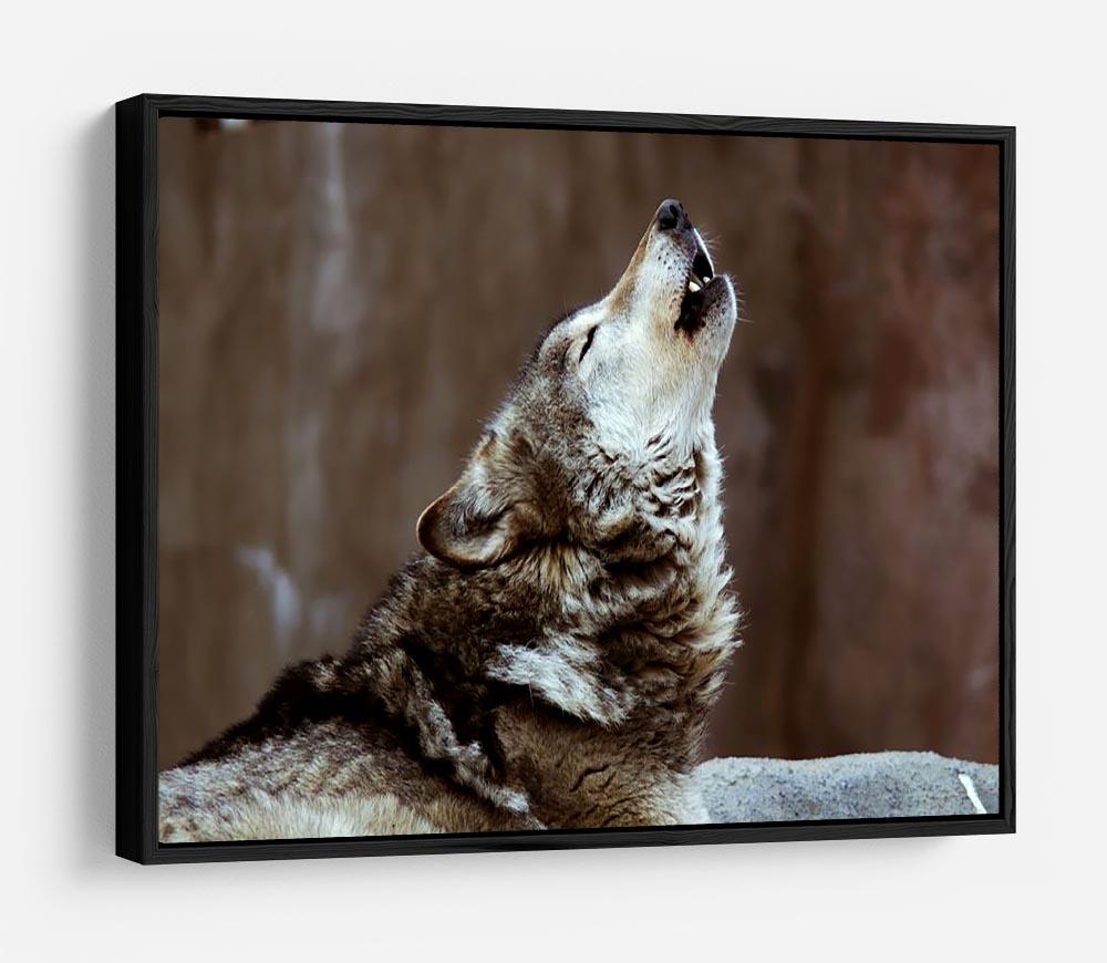 Wolves howl in Moscow Zoo HD Metal Print - Canvas Art Rocks - 6