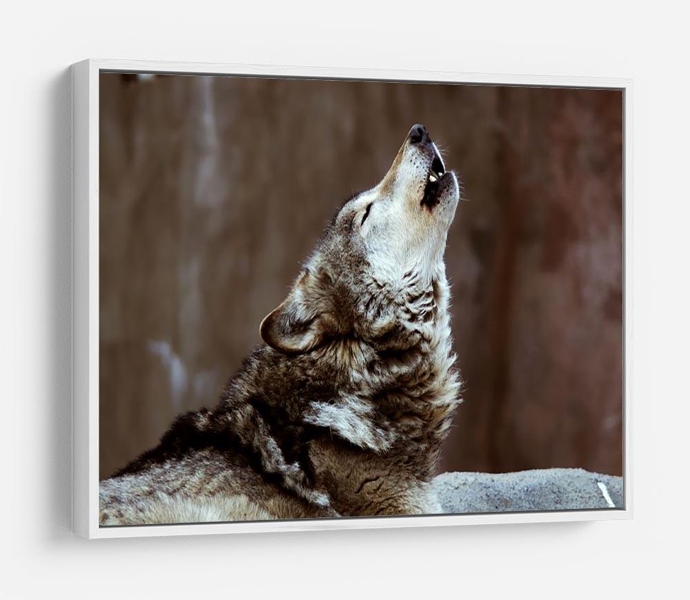 Wolves howl in Moscow Zoo HD Metal Print - Canvas Art Rocks - 7