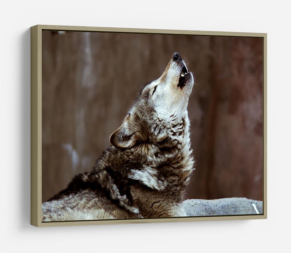 Wolves howl in Moscow Zoo HD Metal Print - Canvas Art Rocks - 8
