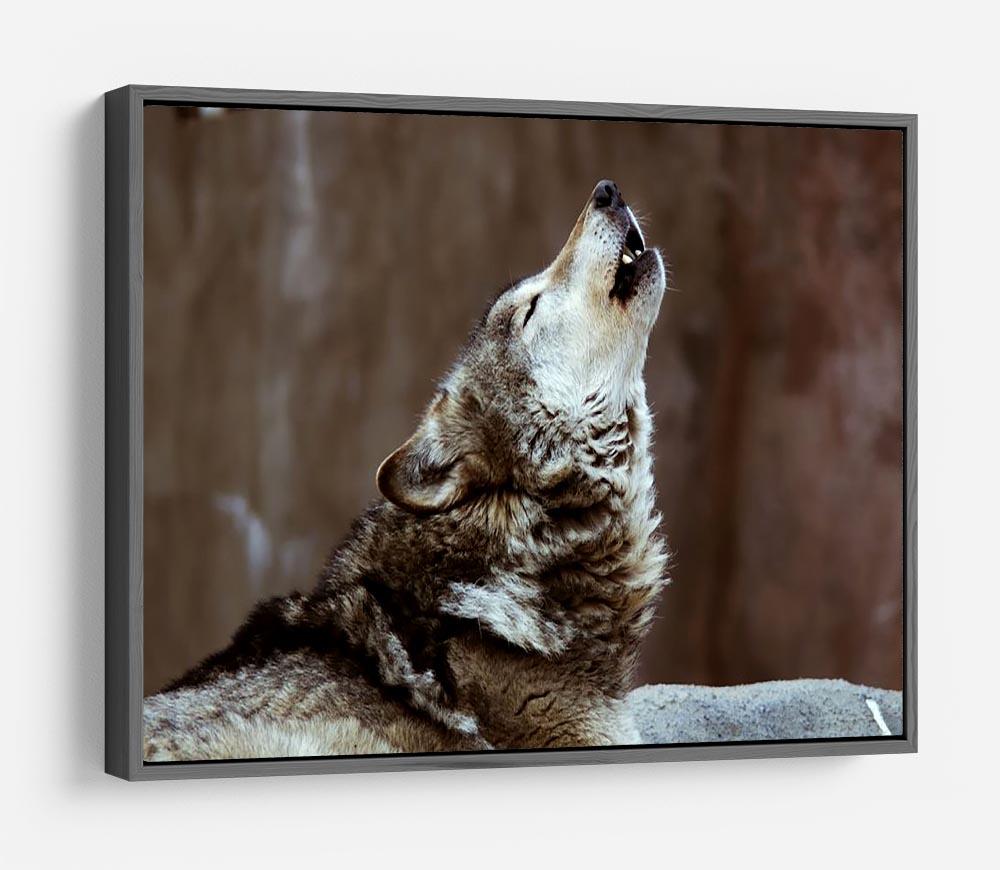 Wolves howl in Moscow Zoo HD Metal Print - Canvas Art Rocks - 9