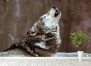 Wolves howl in Moscow Zoo Wall Mural Wallpaper - Canvas Art Rocks - 4
